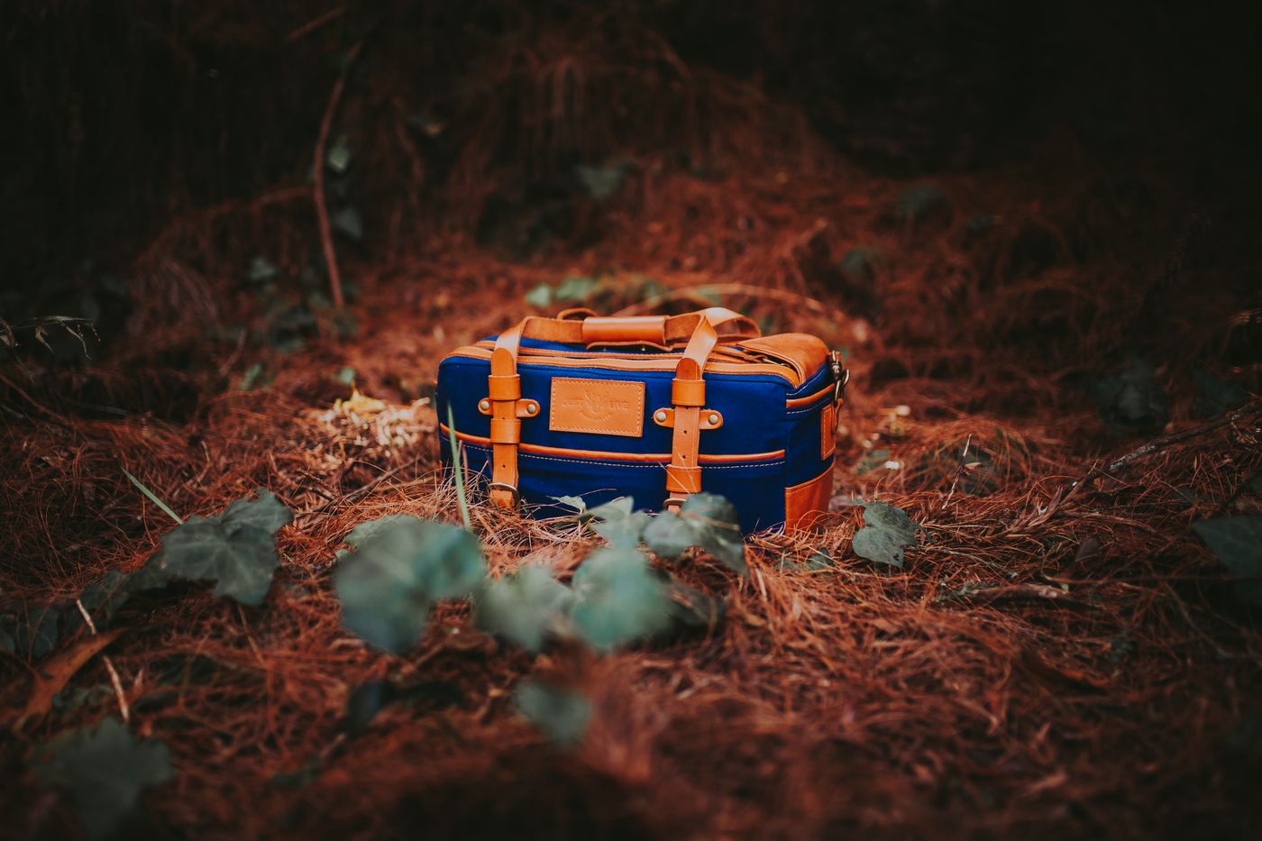 Edge Guard Tape reference preview