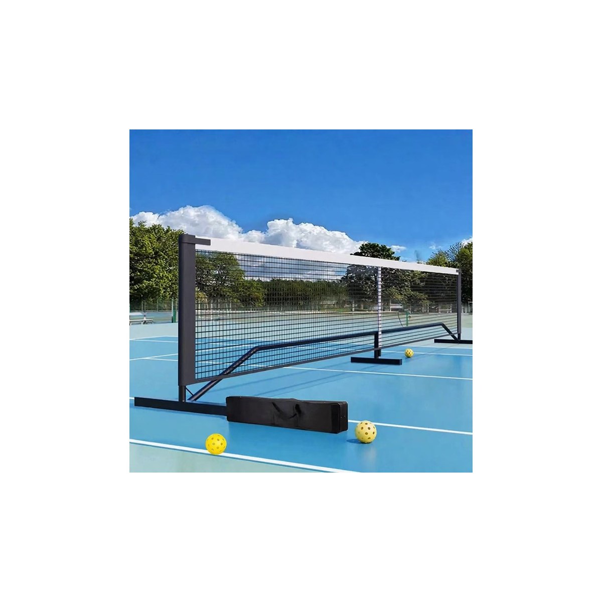 Portable pickleball net system for club and training